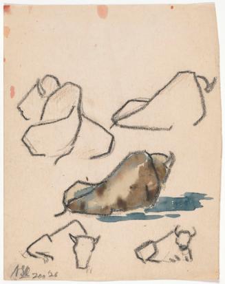 Zoo Sketches:  Different Views of Bison