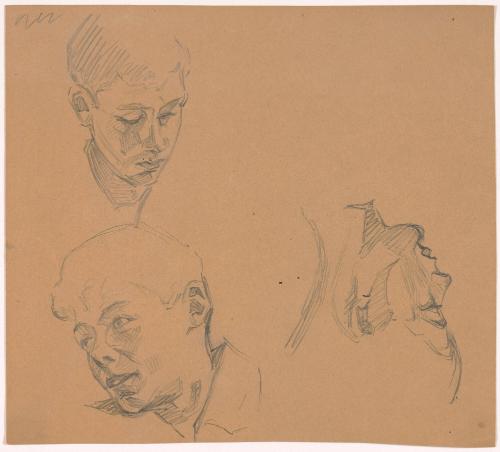 Studies of Boy's Heads