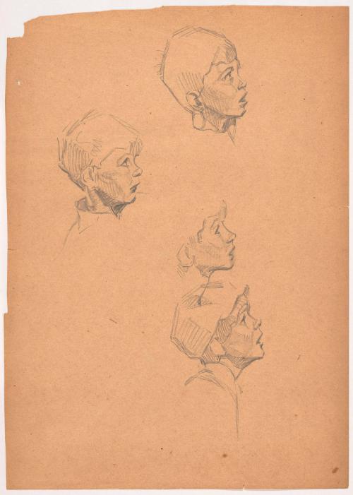 Studies of Boy's Heads