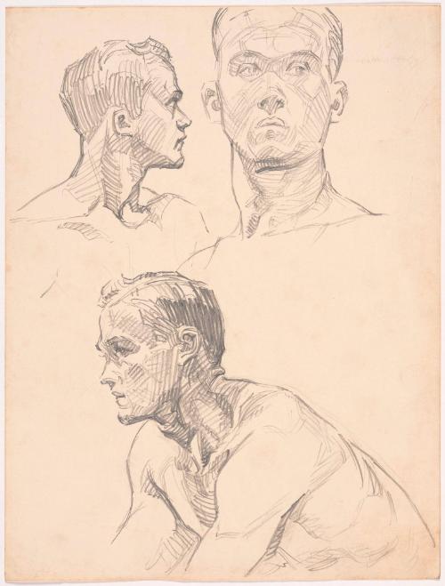 Studies of Man's Head