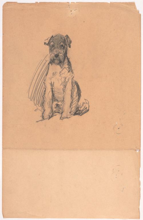 Seated Dog