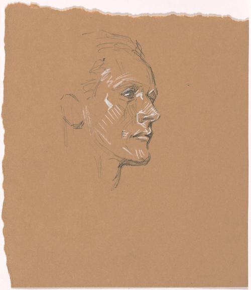 Study of Male Head