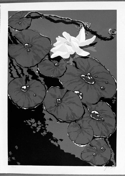 Pond Lilies