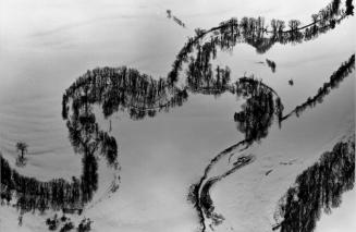 Frozen Stream with Dormant Trees and Shadows, Bethel, Maine, from a Portfolio: Color Nature Landscapes I