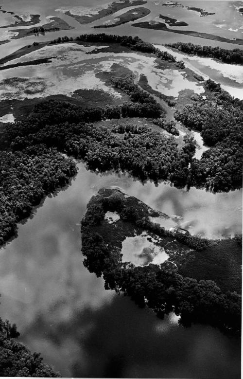 Mississippi River Near Prairie Du Chien, Wisconsin, from a Portfolio: Color Nature Landscapes I