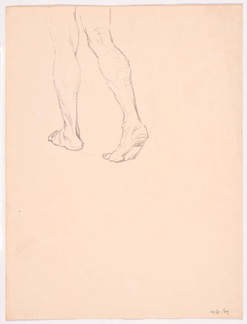 Study of Legs