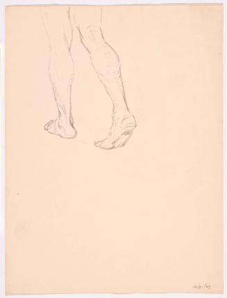 Study of Legs