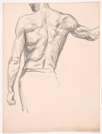 Study of Man's Back