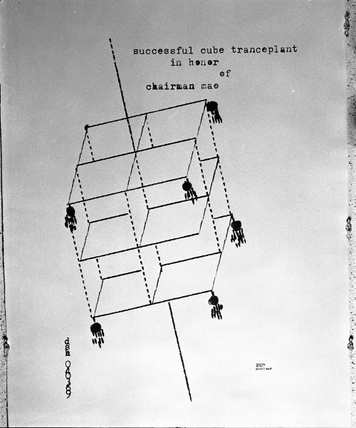 Successful Cube Transplant in Honor of Chairman Mao