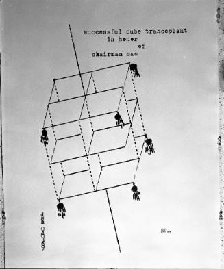 Successful Cube Transplant in Honor of Chairman Mao