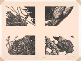 Frogs and Toads, from Conspiracy: the Artist As Witness Portfolio