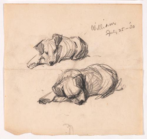 Two Studies of Sleeping Dog