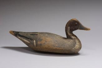 Pintail Duck Decoy