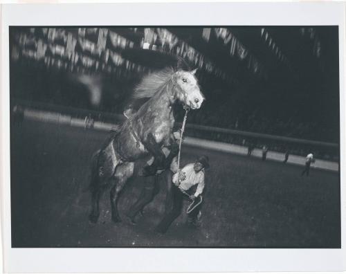 Fort Worth, Texas, from a Portfolio: Garry Winogrand