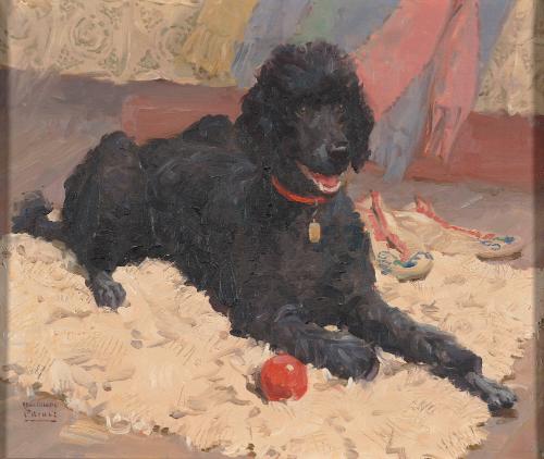 Zaza (Black Poodle)