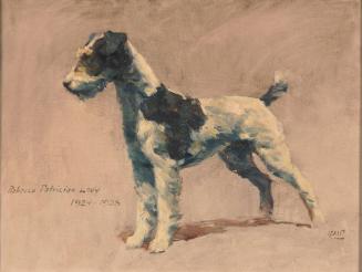 Rebecca Patrician Lady, 1924-1938 (Dog)