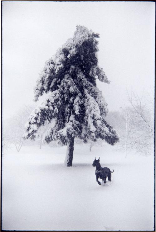 Garry Winogrand