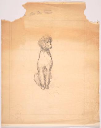 Seated Dog, Frontal, with Head Turned to Right