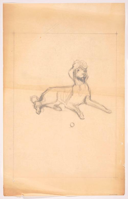 Reclining Poodle, Facing Front Left with Ball