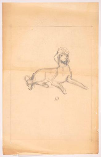 Reclining Poodle, Facing Front Left with Ball