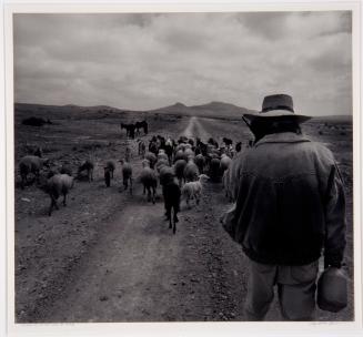 Vaquero (Herdsmen), Mineral de Pozos, from the series Visible Spirits