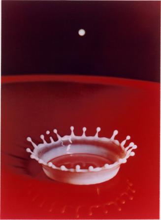 Milk Drop Coronet, from Harold Edgerton: Ten Dye Transfer Photographs
