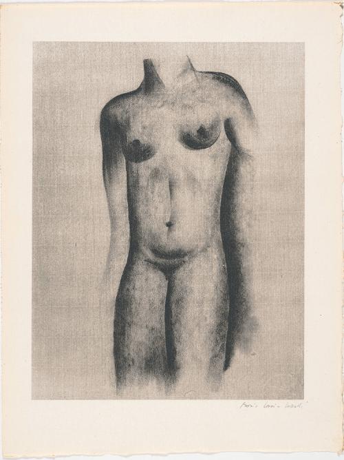 Female Nude Torso