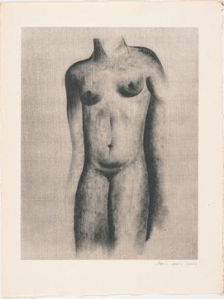 Female Nude Torso