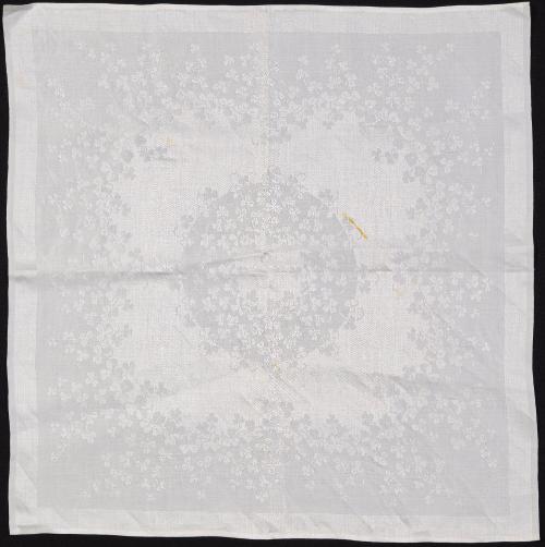 Napkin