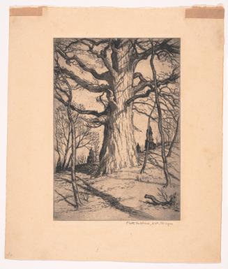 Oak Tree, Old Lyme