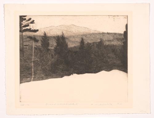 Grand Monadnock II