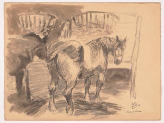 Study of Horse