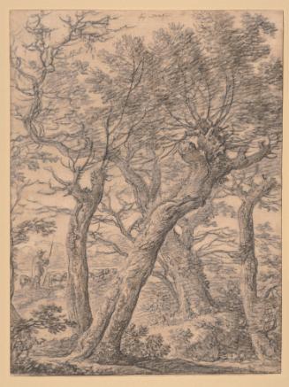 Woods near Doorn, with a Shepherd and His Flock