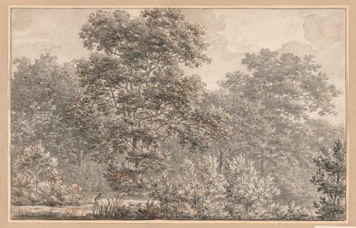 View in the Hague Woods ("Haagse Bos")