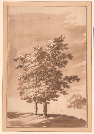 Study of Two Trees on a Rise