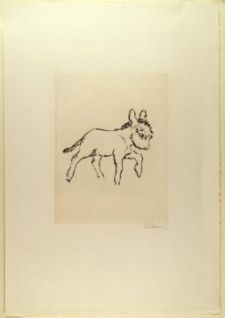 Young Donkey (Junges Esel)