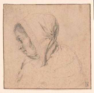 Head of a Woman Looking Downward