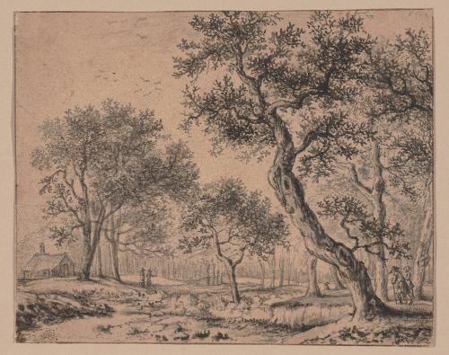 Adriaen Hendriksz. Verboom