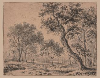 Woods with travelers on a path by a stream