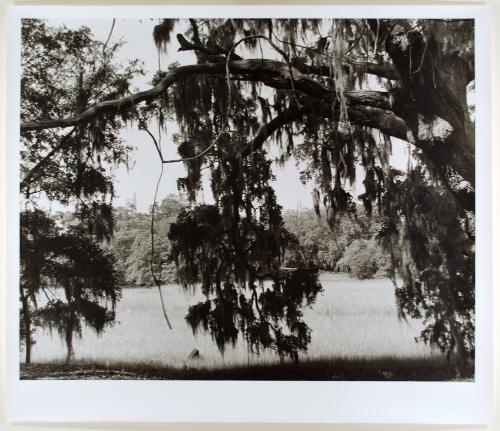 Bridge Towers and Tire, from the series Beyond the Plantations: Images of the New South