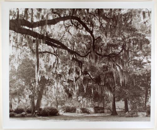 Broken Porch, from the series Beyond the Plantations: Images of the New South