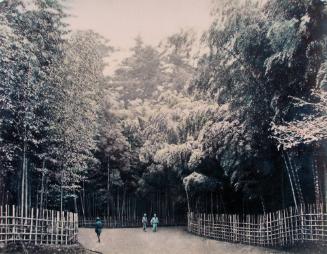 Fujiami Bamboo Gardens