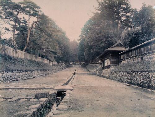 Avenue Leading to the Shrines, Nikko