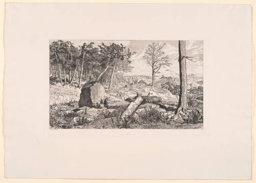 Simplicius in the Wilderness, plate 10 from Intermezzi [Opus IV]