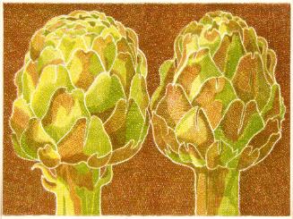 Two Artichokes