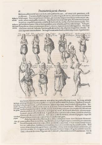 Compilation sheet of 10 individual images of figures, from Thomas Harriot’s A Brief and True Report of the New Found Land of Virginia, Latin edition