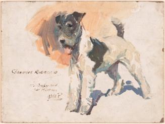 Chaumere Rebecca (Dog)