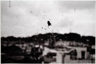 © Daido Moriyama Photo Foundation