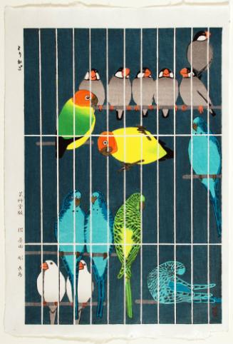 Bird Cages