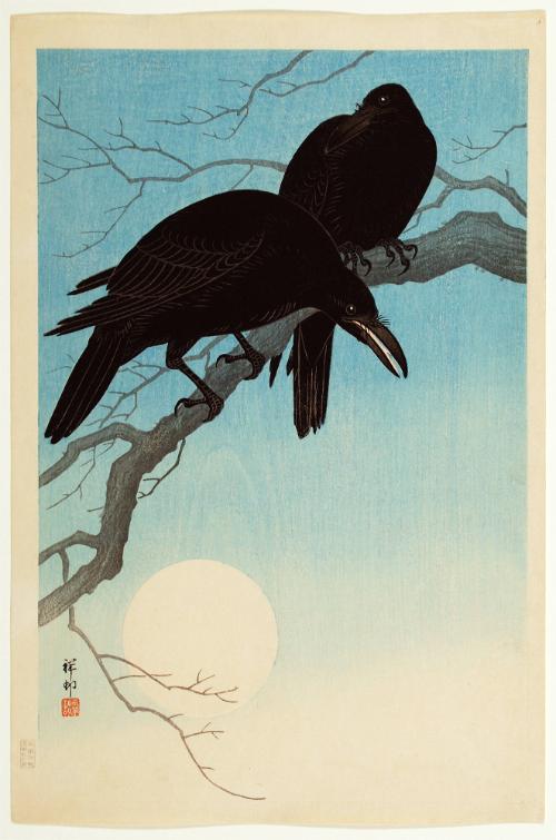 Crows in Moon Light